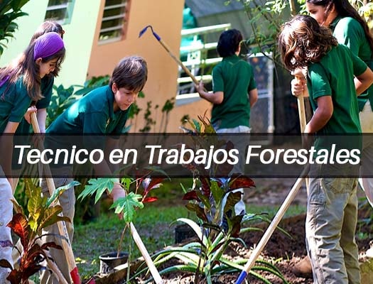 Técnico en Trabajos Forestales y de Conservación del Medio Natural